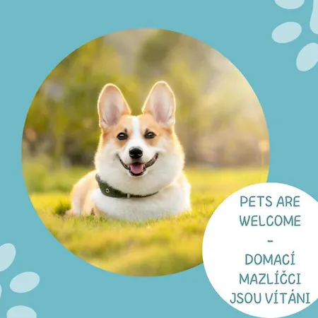 崔鲁斯酒店 3* Špindlerŭv Mlýn