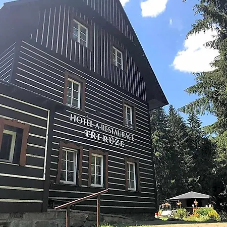 Hotel Tři Růže 3*