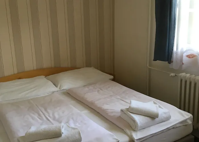 Hotel Tri Ruze 3*