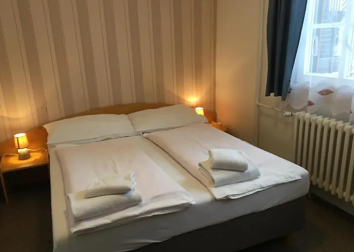 Hotel Tri Ruze 3*